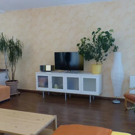 Cozy In Leubnitz-neustra Near River Apartment
